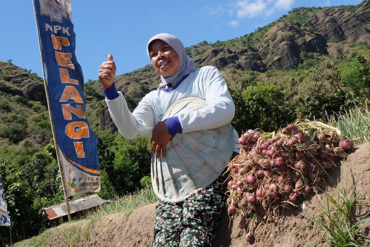 Salah satu program Demplot yang dilakukan oleh Pupuk Kaltim di Kabupaten Bima, NTB. Pupuk Indonesia Grup mendorong peningkatan produktivitas tanaman pangan melalui demplot pupuk bersubsidi dan non subsidi.