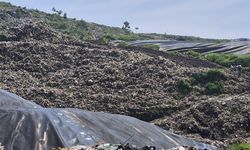 Hari Peduli sampah Nasional 2026: Tema hingga Sejarahnya