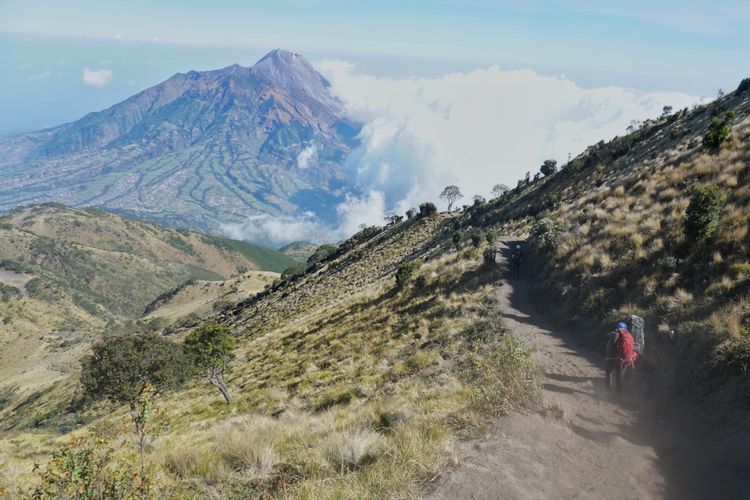 Pendaki melewati jalur pendakian Selo di Gunung Merbabu, Jawa Tengah.