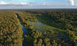 Daftar Taman Nasional di Pulau Kalimantan