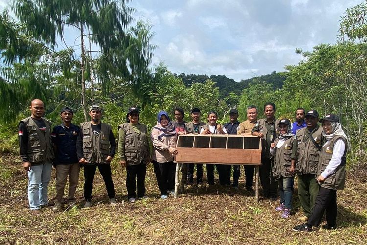 Petugas Balai Konservasi Sumber Daya Alam (BKSDA) Maluku melepasliarkan 22 ekor burung Nuri Makuku ke habitatnya di kawasan Gunung Salahutu, Kabupaten Maluku Tengah, Rabu (17/1/2024).