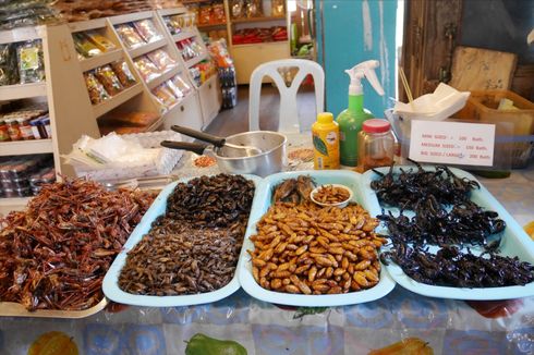 Simak Ini sebelum Menyantap Sate Buaya dan Serangga Goreng di Thailand