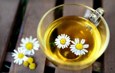 Ilustrasi teh chamomile