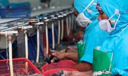 Pajak dari Industri Pengolahan Turun, Kemenperin: Masih Penyumbang Terbesar Penerimaan