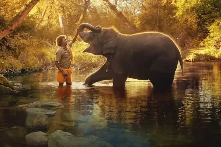 The Elephant Whisperers memenangi Oscar untuk kategori film pendek dokumenter terbaik.