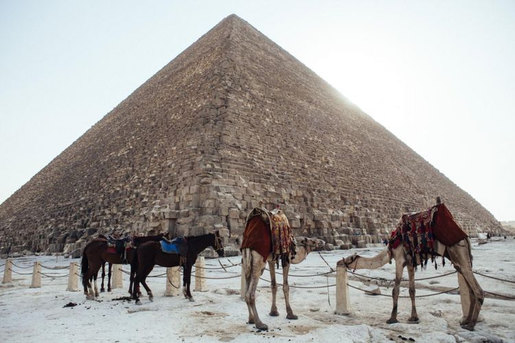 Ahli temukan titik terang bagaimana Piramida Besar Giza dibangun