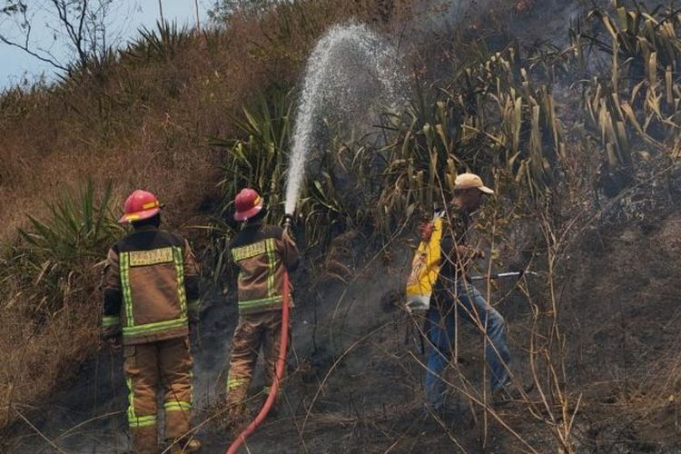 Sejumlah petugas berupaya memadamkan api yang membakar lahan hutan di Gunung Guntur, Kabupaten Garut, Jawa Barat, Kamis (7/9/2023). 