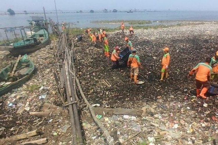 Pembersihan lautan sampah berton-ton di pesisir Marunda Kepu, Marunda, Cilincing, Jakarta Utara terus berlanjut, Kamis (12/1/2023).  