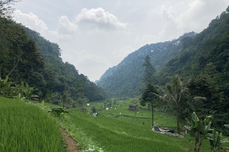 Pemandangan area budi daya lebah madu yang berada di lembah hutan kaki Gunung Pangrango di Desa Bojongmurni, Kecamatan Ciawi, Kabupaten Bogor, Minggu (23/5/2021).