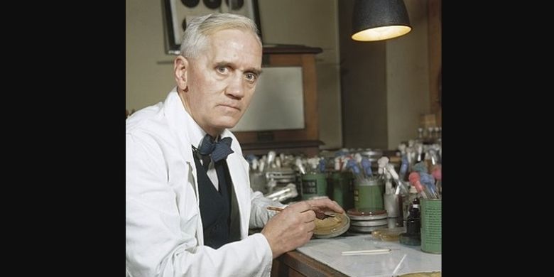 Ahli bakteri, Alexander Fleming, yang menemukan penisilin sebagai antibiotik pertama.