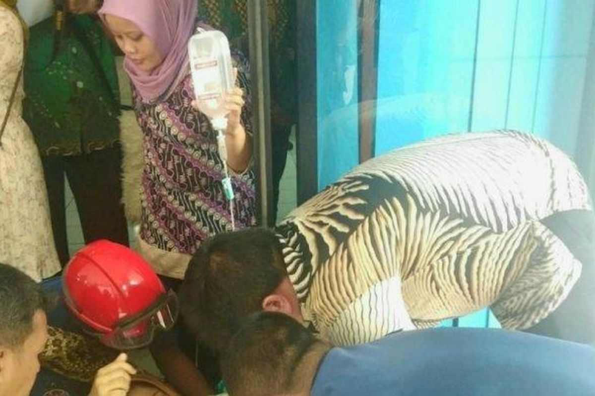 Mulyani melahirkan bayi di depan kantor Planetarium, Taman Ismail Marzuki, Jakarta Pusat, Kamis (27/2/2020). 
