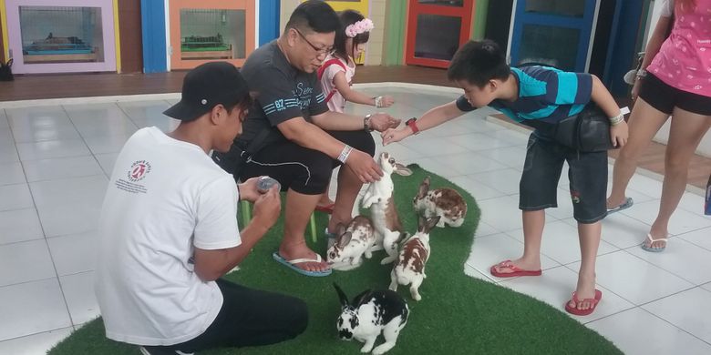 Pengunjung bermain dengan kelinci di River Walk, Kendal, Jawa Tengah, Minggu (22/7/2018). 