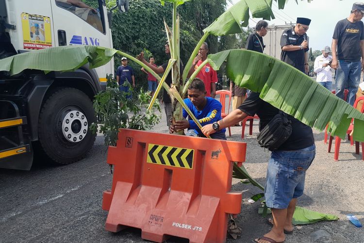 Warga menanam pohon sebagai aksi protes rusaknya jalan pantura di Balonggandu, Jatisari, Karawang, Jabar, Kamis (5/6/2025).