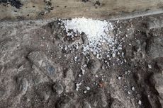 Garam Berbau Kemenyan Ditemukan di Lokasi Tes CPNS di Yogyakarta