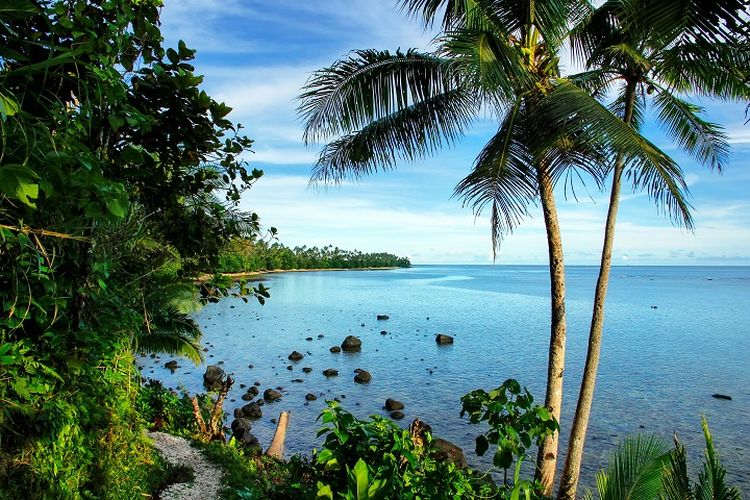 Ilustrasi Fiji - Destinasi wisata bernama Lavena Coastal Walk di Pulau Taveuni, Fiji.
