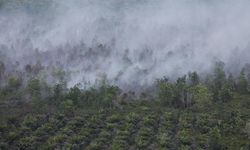 Greenpeace: KTT ke-27 ASEAN Jadi Momentum Hentikan Kabut Asap Lintas Batas