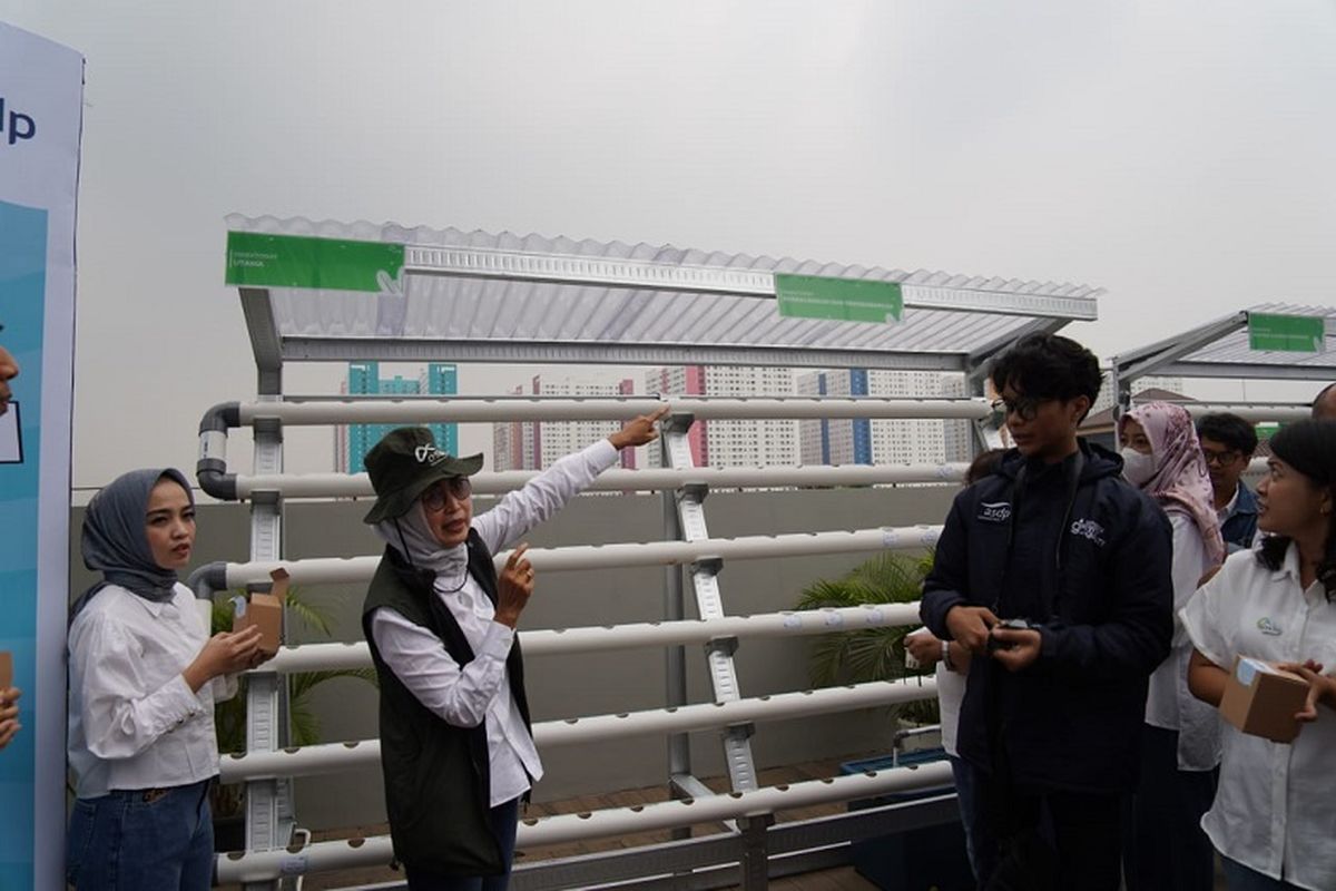 Direktur Utama Angkutan Sungai, Danau, dan Penyeberangan Indonesia Ferry (Persero) (ASDP) Ira Puspadewi dalam acara peluncuran program ASDP Berkebun Hidroponik di Kantor Pusat ASDP, Jakarta, Jumat (7/7/2023).