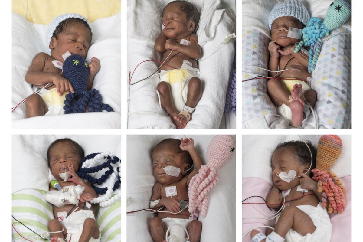 Bayi kembar enam dari pasangan Ajibola Taiwo dan Adeboye Taiwo.