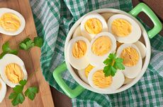 Mitos atau Fakta, Makan Banyak Telur Sebabkan Bisul? 