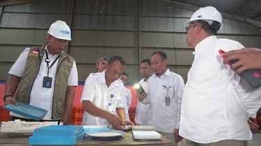 Sudah 17.000 Ton, Bulog Targetkan Stok Beras Papua Naik 3 Kali Lipat