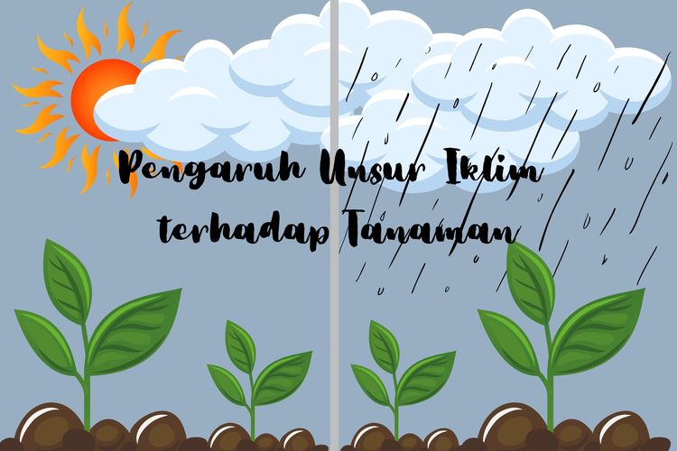 Jelaskan Pengaruh Iklim Terhadap Keberadaan Tumbuhan Flora Dan Binatang Fauna