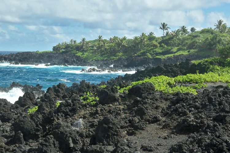 Intip Noca Mulas di NTT, Pulau Cantik dengan Pemandangan Bak Film Animasi