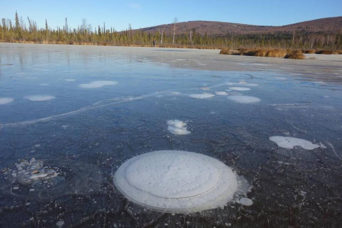 Gelembung Metana di danau Arktik. Nasa menjelaskan hal ini merupakan kabar buruk bagi perubahan iklim kita. (News Week)
