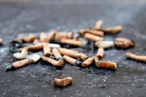 Pemkot Melbourne Daur Ulang Puntung Rokok Jadi Perabotan