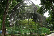 Surabaya Punya Lebih dari 900 Taman, Bisa Jadi Tempat Main Anak