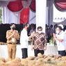 Jokowi: Pasar Tanaman Porang Terbuka Lebar, Seriusi!