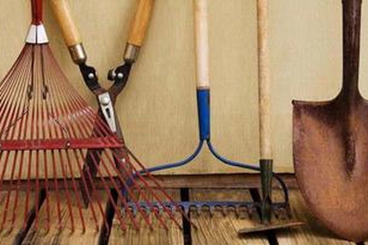 Alat-alat utama pertamanan memang penting untuk pemeliharaan dan tidak bisa dianggap sepele, sementara beberapa alat lainnya berguna tanpa harus membeli, namun cukup menyewanya.