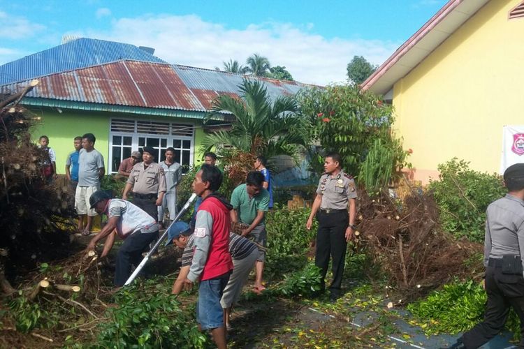 Sejumlah masyarakat dan aparat kepolisian dari Polsek Kabila dan Polres Bone Bolango memotong pohon beringin yang tumbang di SDN 12 Kabila, Bone Bolango. Robohnya pohon mengakibatkan 2 siswa mninggal dan 2 terluka