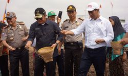 Mentan: Garap 200 Ribu Hektar Lahan Rawa, Penghasilan Sumsel Naik Rp 14 Triliun
