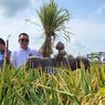 Panen Padi Perdana di Lahan Bekas Tambang Bauksit, Mentan Minta Produktivitas Ditingkatkan