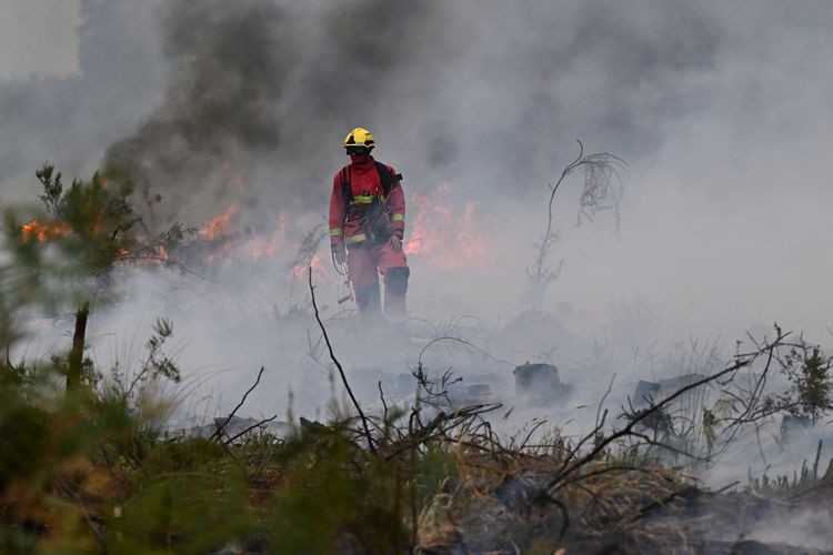 Kebakaran Hutan Perancis Terparah di Eropa, Salah Satu Terbesar Sejak PD II