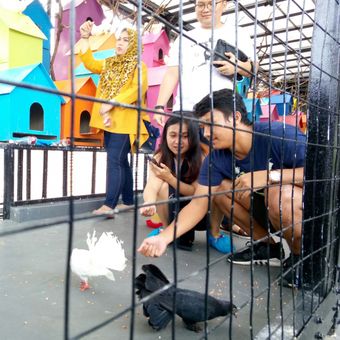 Pengunjung tampak tengah memberi makan di penangkaran burung merpati di Rabbit Town, Sabtu (31/3/2018). Rabbit Town merupakan salah satu lokasi wisata swafoto di Jalan Rancabentang No.30, Ciumbuleuit, Kecamatan Cidadap, Kota Bandung, Jawa Barat.  