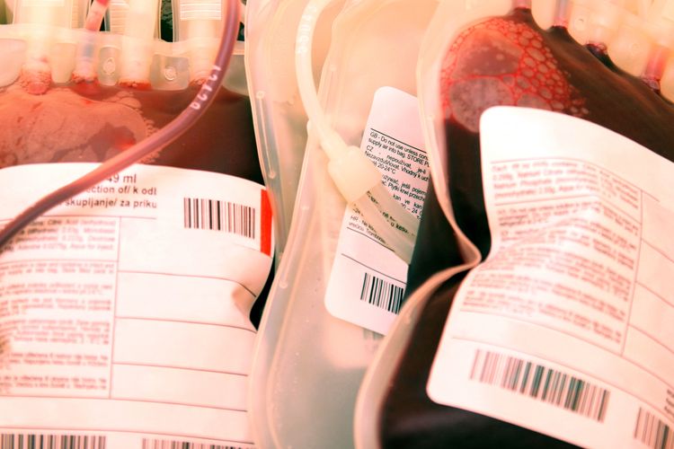 Semua orang dapat menjadi donor darah jika memenuhi syarat donor darah yang berlaku. 