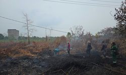 Pemprov Kalteng Intensifkan Penanganan Karhutla, 10.700 Personel Disiagakan