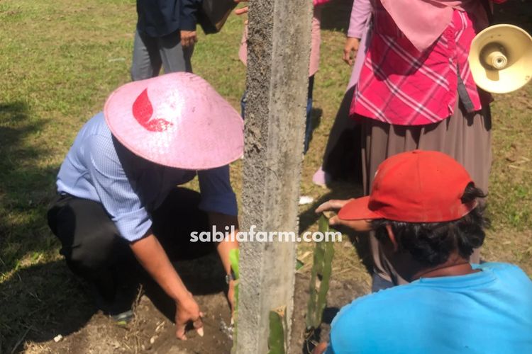 Kegiatan edukasi di Sabila Farm Sleman