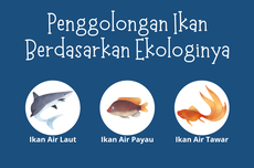 Penggolongan Ikan berdasarkan Ekologinya