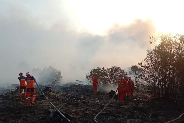 Kegiatan pemadaman dan penanggulangan karhutla dilakukan sejak awal titik api terpantau pada 1 September 2023 hingga saat ini yang sebagian berhasil dipadamkan.