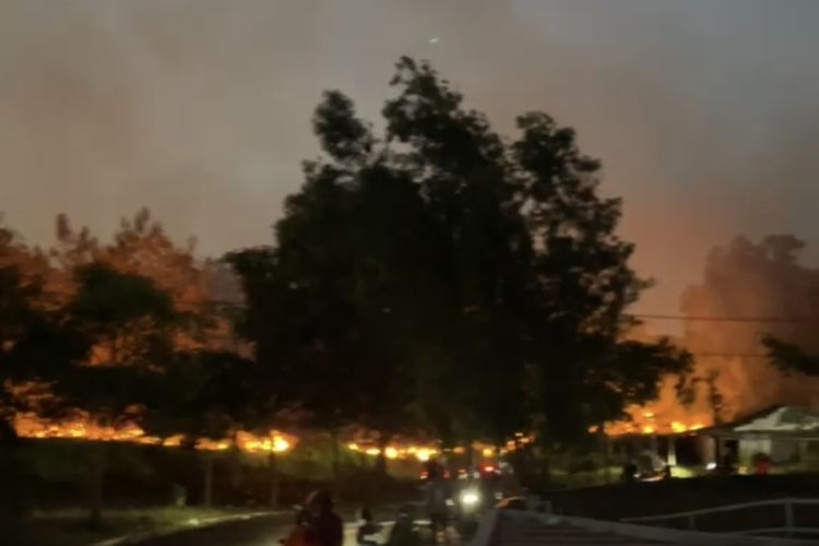 Musim Kemarau, 109 Hektare Hutan dan Lahan di Jatim Terbakar