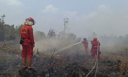 Belum Ada Capres Paparkan Pemulihan Korban Karhutla