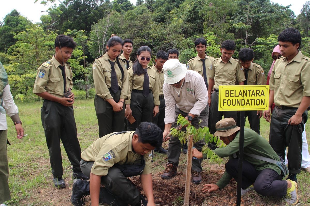 Siswa SMK Negeri 1 Tualang, Siak, Riau menanam bibit pohon langka bersama Belantara Foundation, Kamis (28/11/2024). 