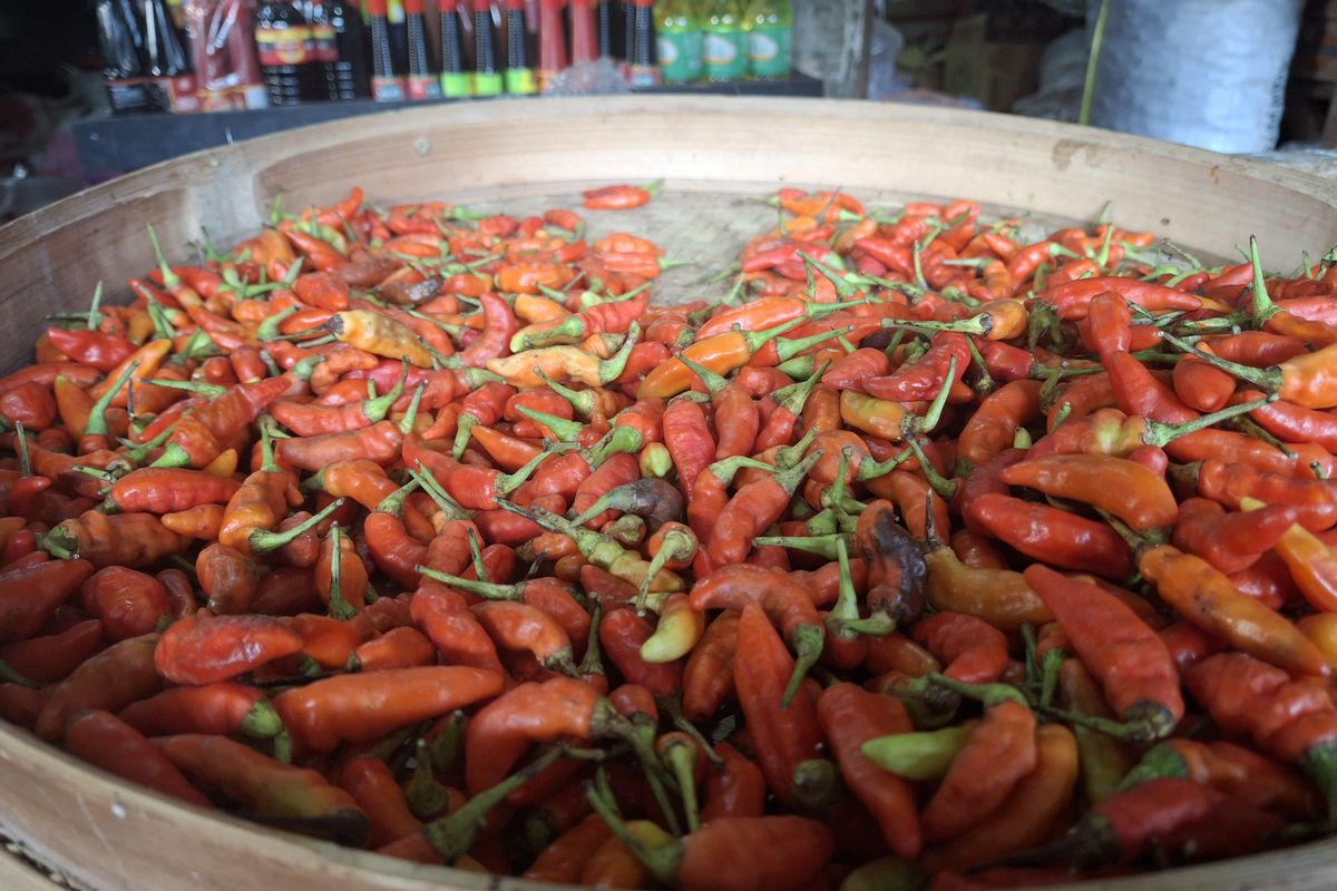 Stok cabai rawit merah di Pasar Baru Lumajang menipis, Selasa (11/3/2025)