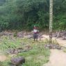 20 Petak Sawah di Manggarai Timur Terendam Banjir