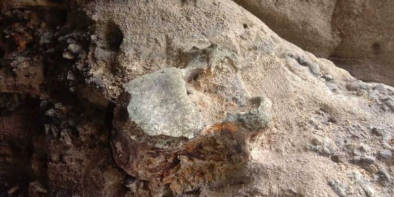 Terlihat fosil tulang yang diduga hewan purba di sebuah pulau kecil di tengah Waduk Saguling, Bandung Barat.