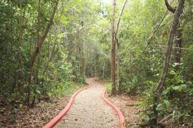 Trek di Kawasan Wisata Hutan Pelawan berdiri seluas kurang lebih 10 hektare dari total keseluruhan hutan lindung seluas 300 hektare