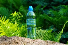 Cesc Fabregas Sebut Xabi Alonso Belum Mampu Hadapi Ego Bintang Real Madrid