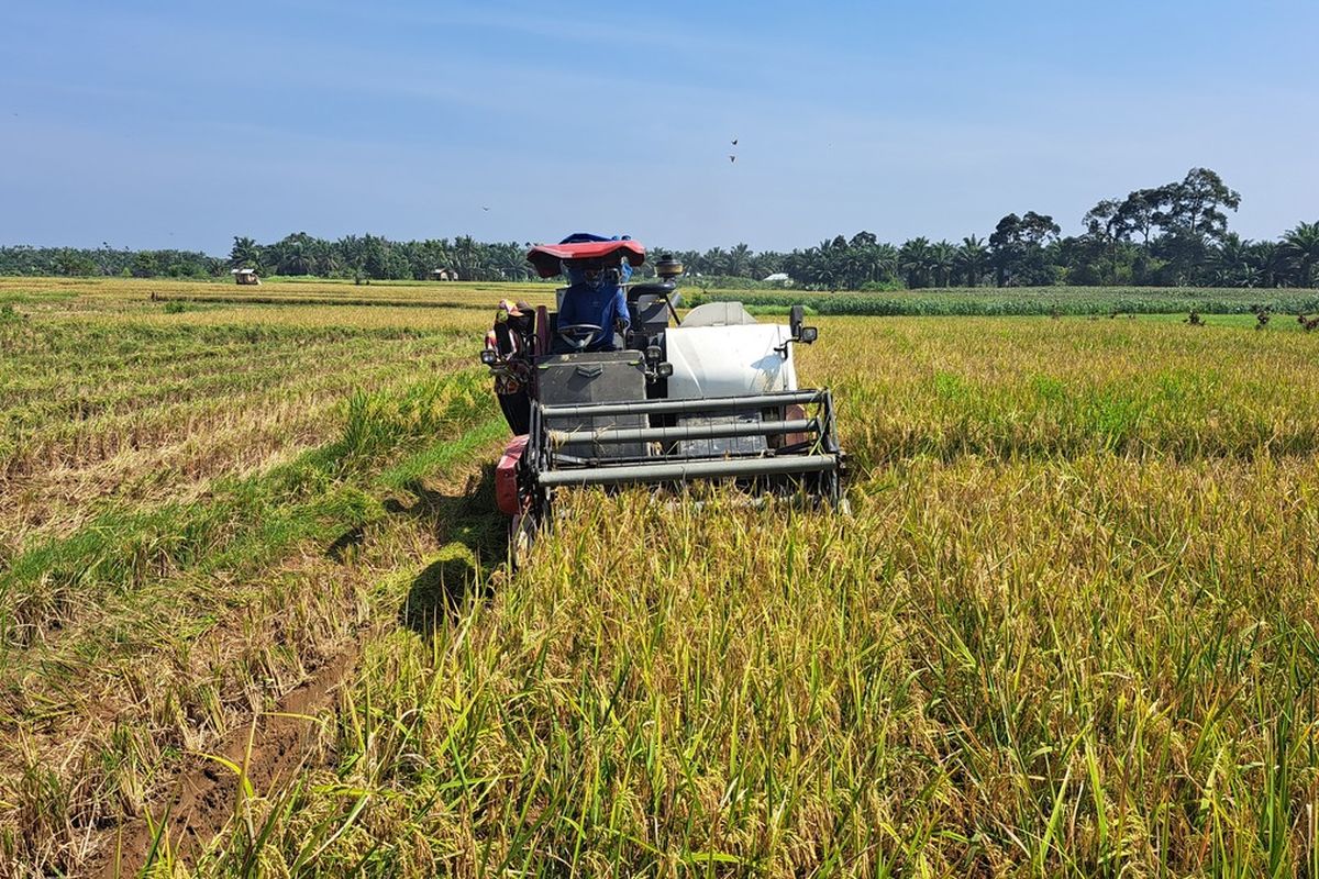 Apa yang dimaksud dengan negara agraris dan mengapa Indonesia disebut negara agraris? Sebenarnya arti negara agraris yakni suatu negara yang ekonominya mengandalkan sektor pertanian. Selain itu negara agraris adalah sebagian besar penduduknya bekerja sebagai petani. Jadi paham kan apa itu negara agraris?